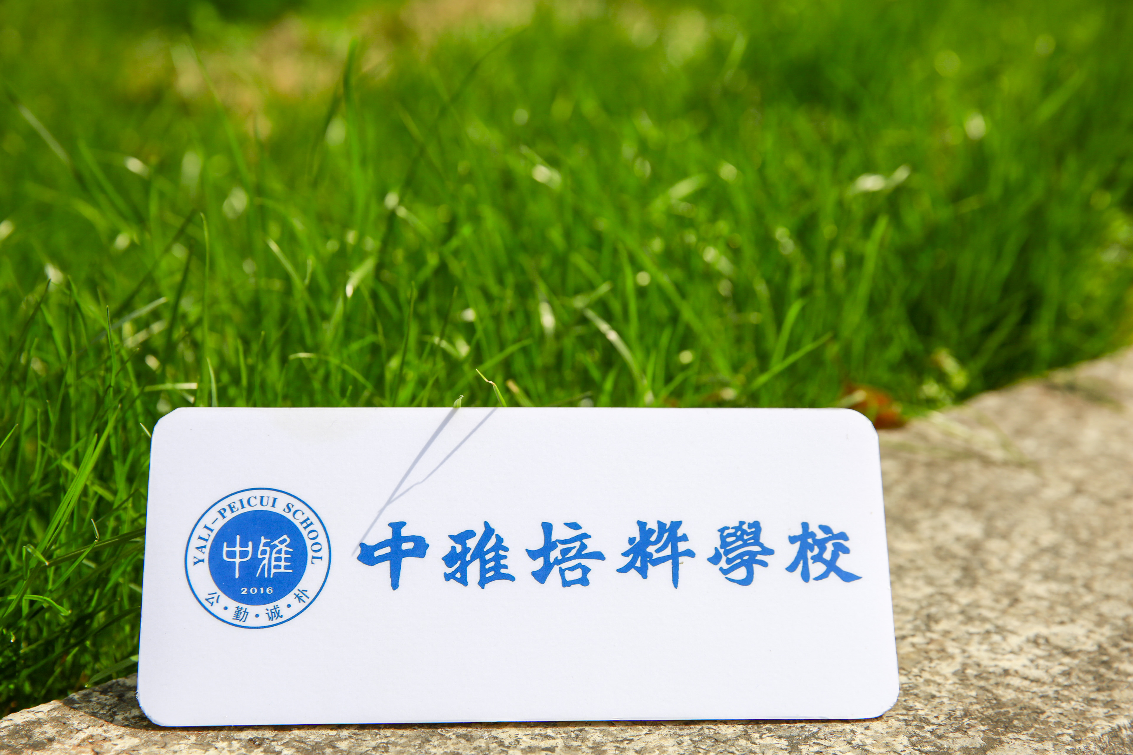 2023年长沙市中雅培粹学校公开招聘教师报名通道